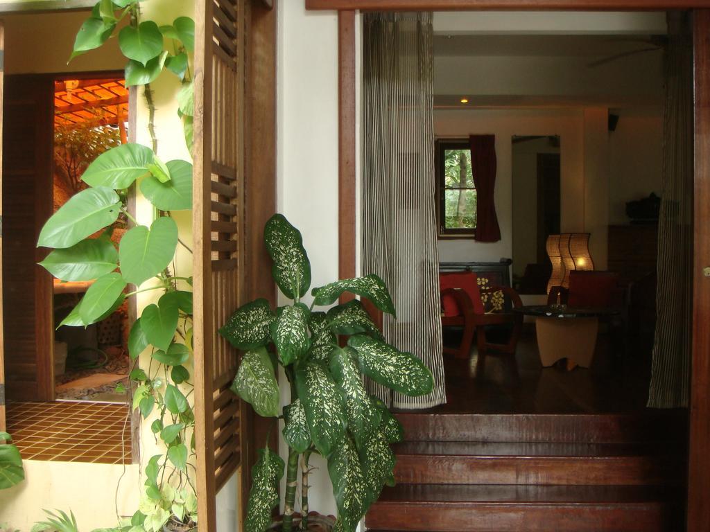 Bed and Breakfast La Cigale Ko Tao Camera foto